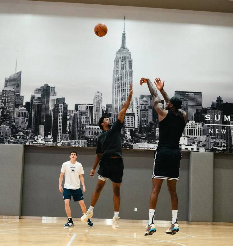 明年夏天成, 湖人前锋范, 报道湖人对